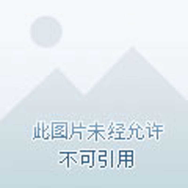 嘉峪关搬家价格动态解析:搬新家还是租新居?